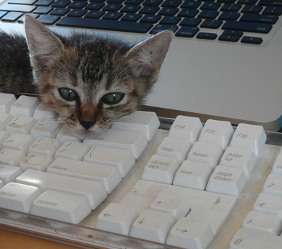 Angie on keyboard