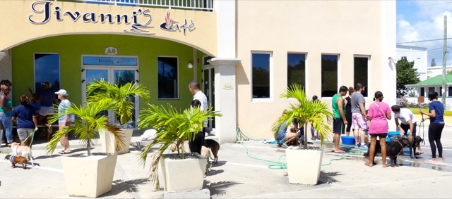 A scene from the puppy wash held on November 26, 2016 at the St. James School of Medicine