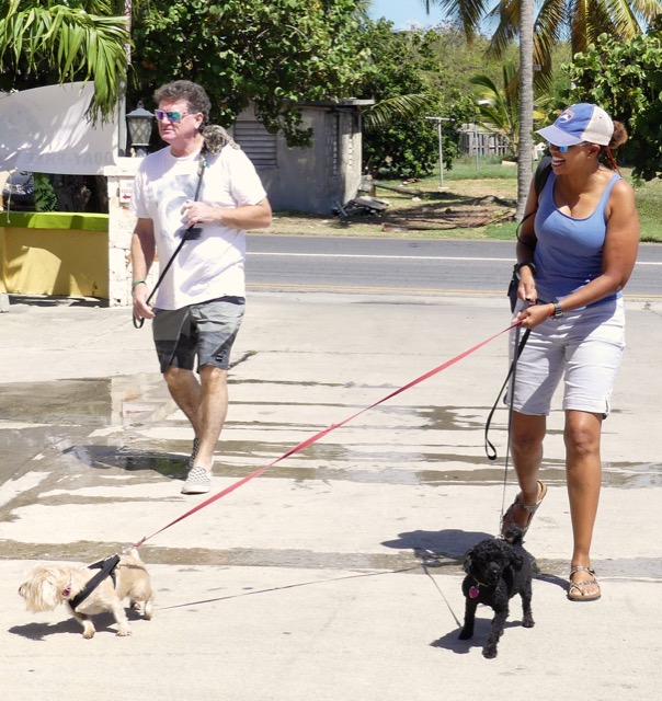 A scene from the puppy wash held on November 26, 2016 at the St. James School of Medicine