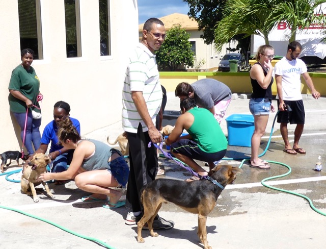 A scene from the puppy wash held on November 26, 2016 at the St. James School of Medicine