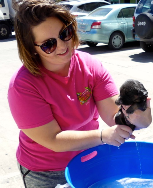 A scene from the puppy wash held on November 26, 2016 at the St. James School of Medicine