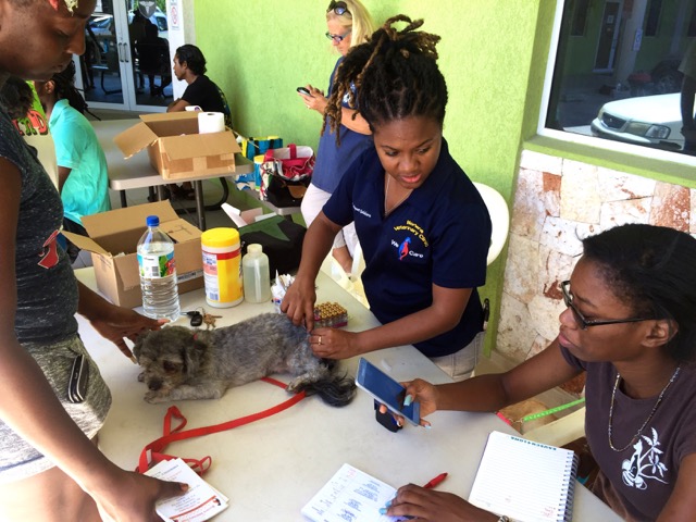 A scene from the puppy wash held on November 26, 2016 at the St. James School of Medicine