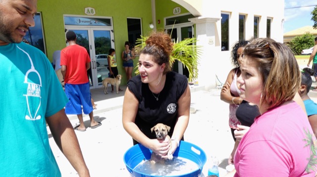 A scene from the puppy wash held on November 26, 2016 at the St. James School of Medicine