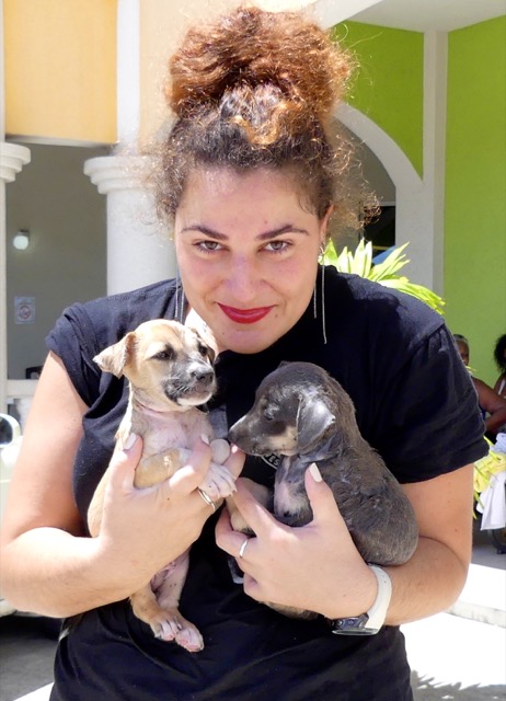 A scene from the puppy wash held on November 26, 2016 at the St. James School of Medicine