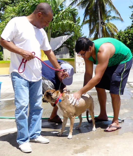 A scene from the puppy wash held on November 26, 2016 at the St. James School of Medicine