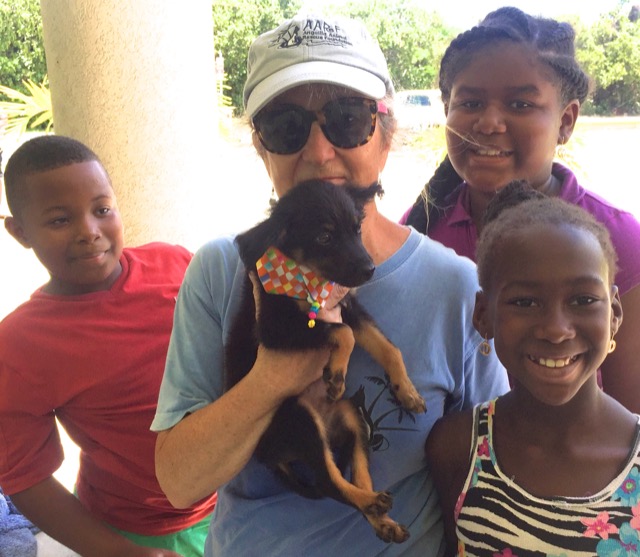 A scene from the puppy wash held on November 26, 2016 at the St. James School of Medicine