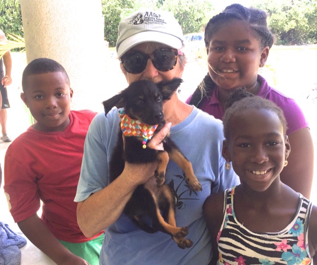 A scene from the puppy wash held on November 26, 2016 at the St. James School of Medicine