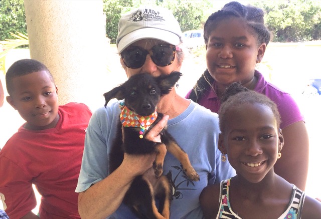 A scene from the puppy wash held on November 26, 2016 at the St. James School of Medicine