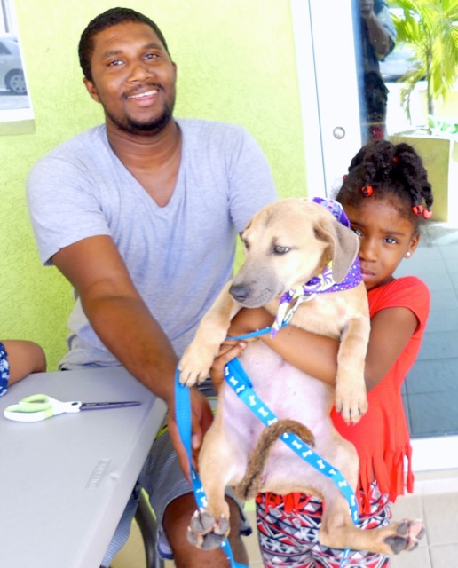 A scene from the puppy wash held on November 26, 2016 at the St. James School of Medicine