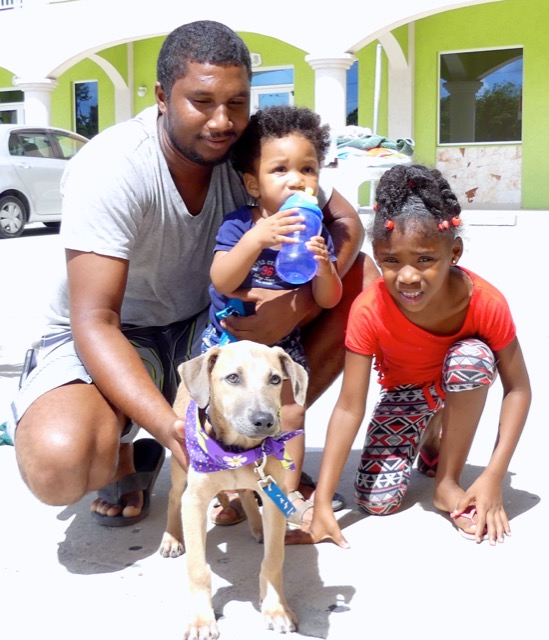 A scene from the puppy wash held on November 26, 2016 at the St. James School of Medicine