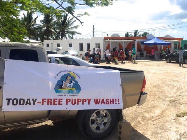 A scene from the puppy wash held on March 18, 2016 at Blowing Point