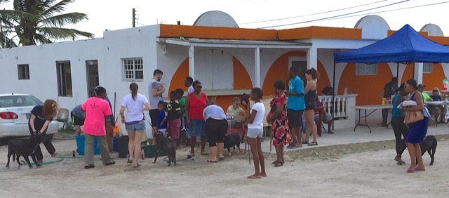 A scene from the puppy wash held on March 18, 2016 at Blowing Point