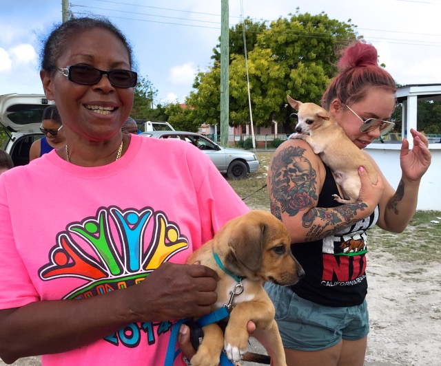 A scene from the puppy wash held on March 18, 2016 at Blowing Point