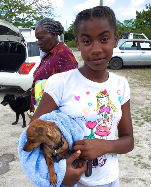 A scene from the puppy wash held on March 18, 2016 at Blowing Point