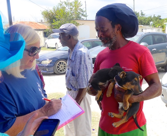 A scene from the puppy wash held on March 18, 2016 at Blowing Point