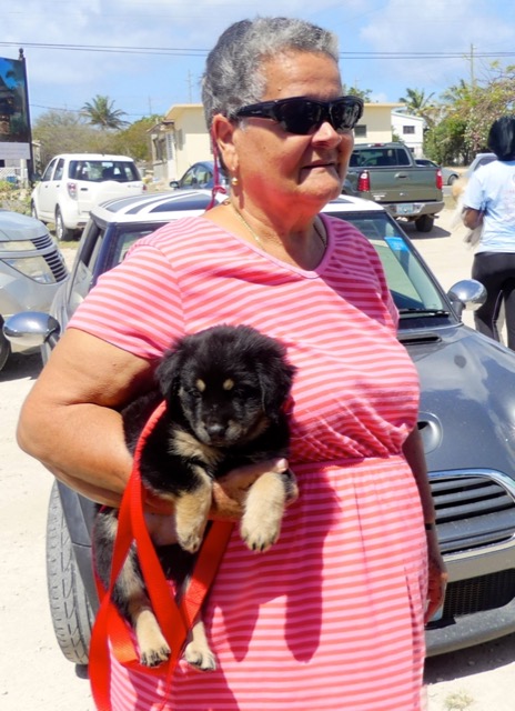 A scene from the puppy wash held on March 18, 2016 at Blowing Point