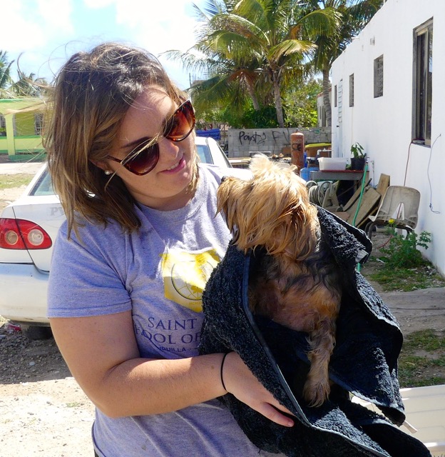 A scene from the puppy wash held on March 18, 2016 at Blowing Point