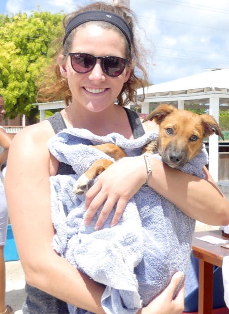 A scene from the puppy wash held on March 18, 2016 at Blowing Point