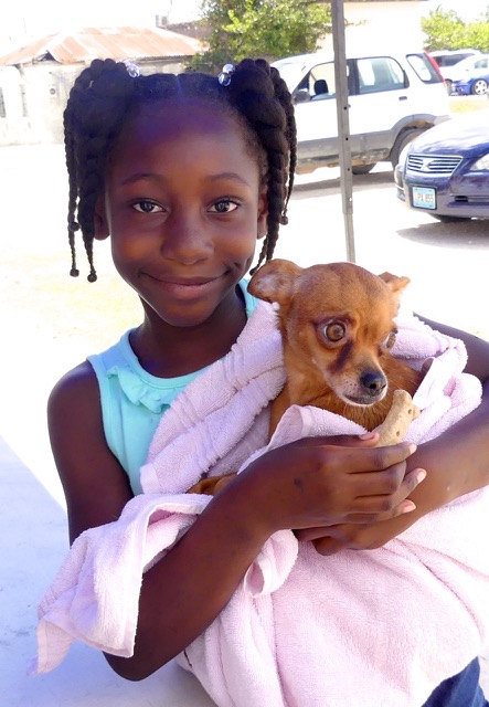 A scene from the puppy wash held on March 18, 2016 at Blowing Point