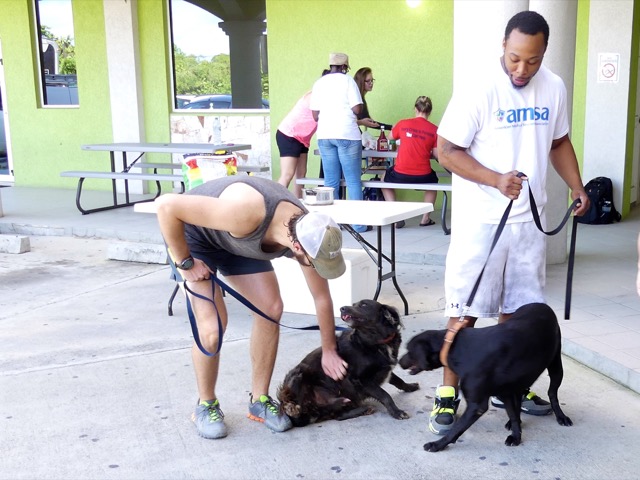 A scene from the puppy wash held on November 26, 2016 at the St. James School of Medicine