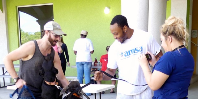 A scene from the puppy wash held on November 26, 2016 at the St. James School of Medicine