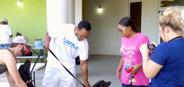 A scene from the puppy wash held on November 26, 2016 at the St. James School of Medicine