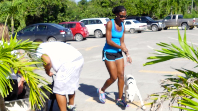 A scene from the puppy wash held on November 26, 2016 at the St. James School of Medicine