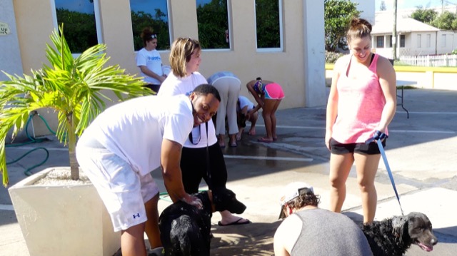 A scene from the puppy wash held on November 26, 2016 at the St. James School of Medicine