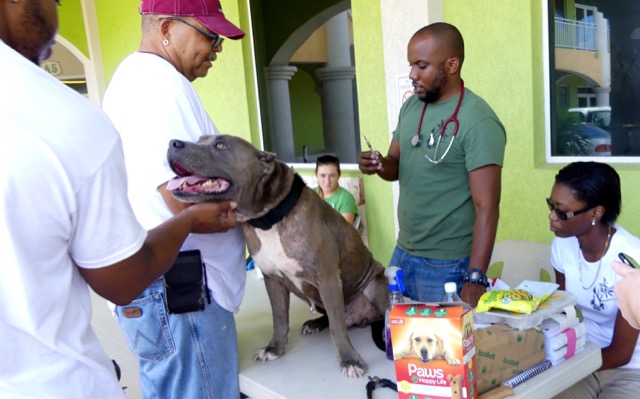 A scene from the puppy wash held on November 26, 2016 at the St. James School of Medicine