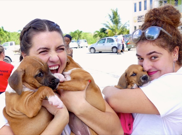 A scene from the puppy wash held on November 26, 2016 at the St. James School of Medicine