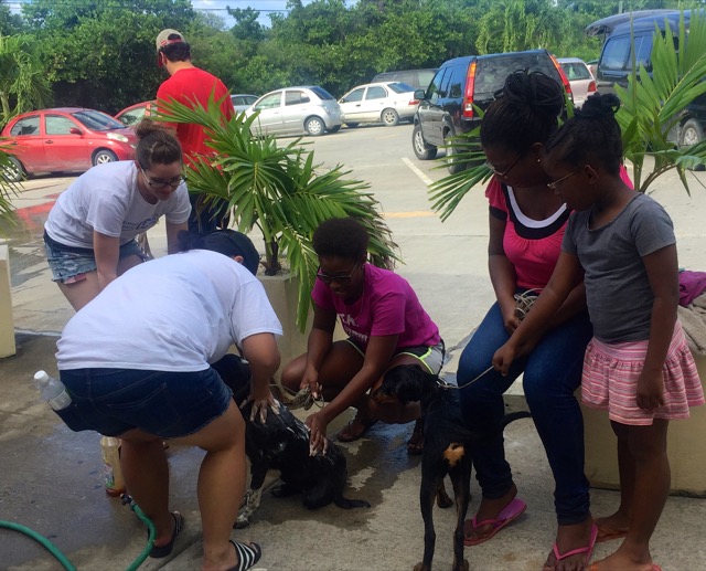 A scene from the puppy wash held on November 26, 2016 at the St. James School of Medicine