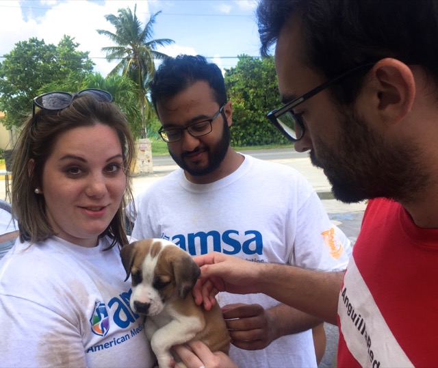 A scene from the puppy wash held on November 26, 2016 at the St. James School of Medicine