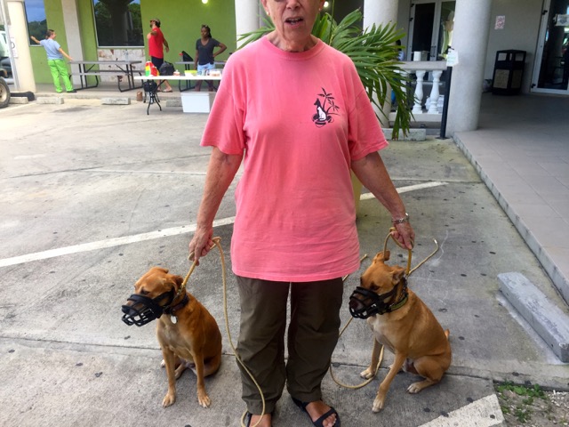 A scene from the puppy wash held on November 26, 2016 at the St. James School of Medicine