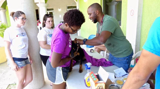 A scene from the puppy wash held on November 26, 2016 at the St. James School of Medicine