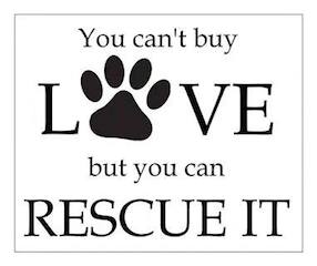 can't buy love but you can rescue it