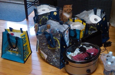 Please support AARF and treat yourself or your pet to a nice treat One of the many products you can buy for you pet or yourself are at the shelter. Things, like leashes, collars, toys, pet carriers, hats and bandanas