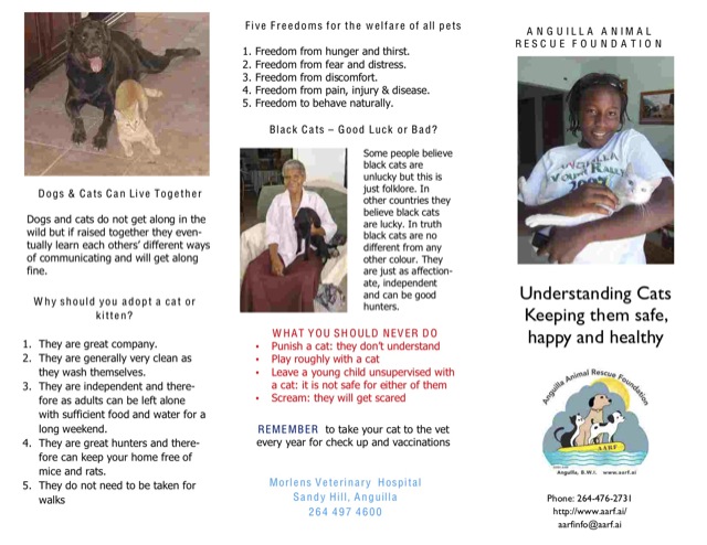 AARF Understanding Cats brochure, page 1 The Understanding Cats brochure from AARF highlights concepts such as the Five Animal Freedoms, why you should adopt, why black cats are OK and more