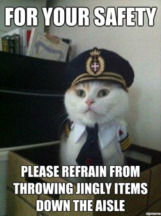 captaincat-nothrowing.jpg