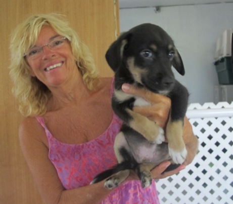 A photo showing a day in the life of an AARF volunteer