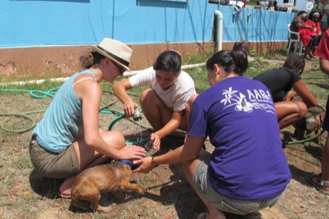 A photo from the puppy wash event in the Valley in 2013