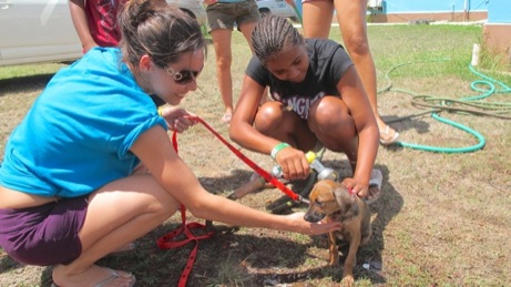 A photo from the puppy wash event in the Valley in 2013