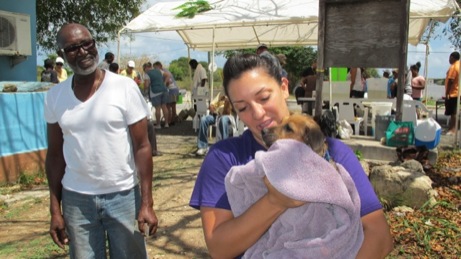 A photo from the puppy wash event in the Valley in 2013