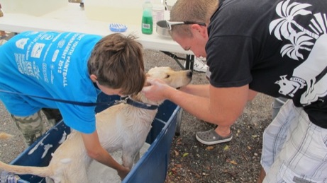 A photo from the puppy wash event in the Valley in 2013