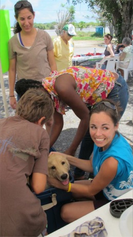 A photo from the puppy wash event in the Valley in 2013