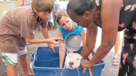 At the Puppy Wash event A photo from the puppy wash event in the Valley in 2013