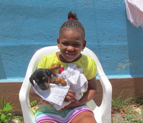 A photo from the puppy wash event in the Valley in 2013