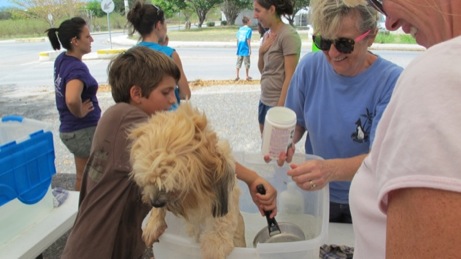 A photo from the puppy wash event in the Valley in 2013