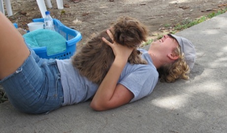 A photo from the puppy wash event in the Valley in 2013