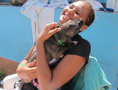 A photo from the puppy wash event in the Valley in 2013