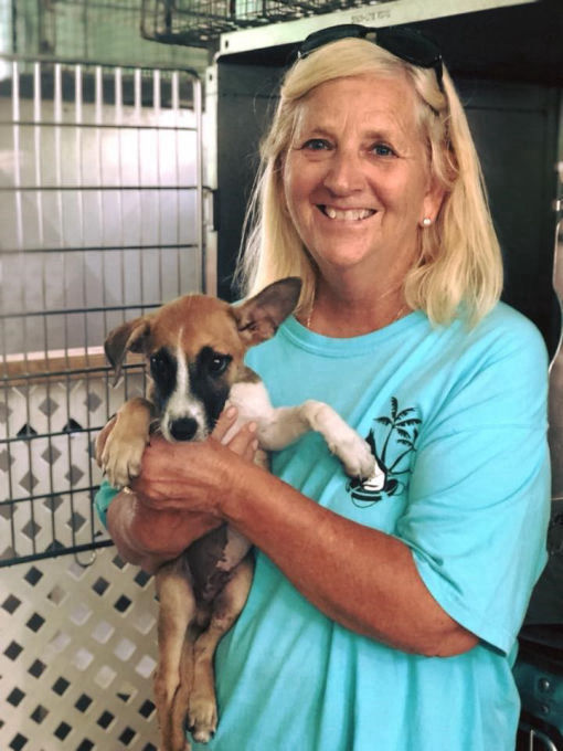 Suzie Donahue, Vice President and Shelter, with a shelter puppy
